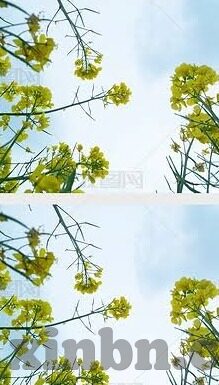 麻豆视传媒app官方-麻豆视传媒APP的数字娱乐新体验